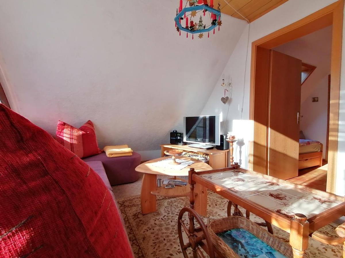 Apartmán Haus Am Waldrand Freital Exteriér fotografie